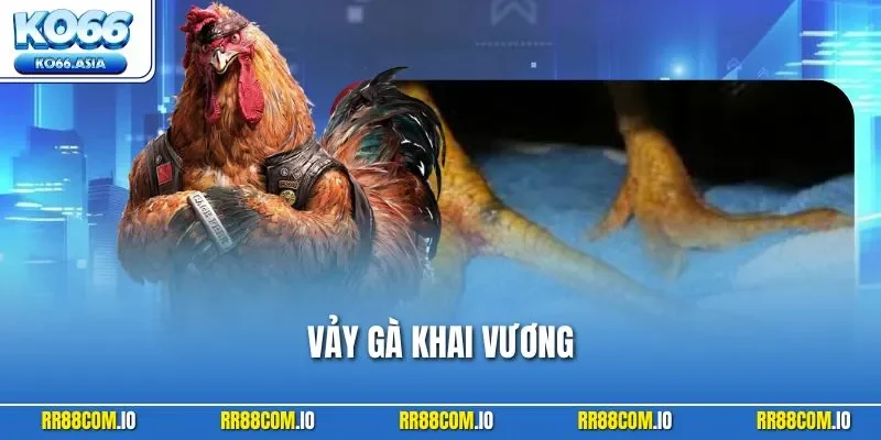 Vảy Gà Khai Vương - Hướng Dẫn Nhận Biết Và Cách Huấn Luyện